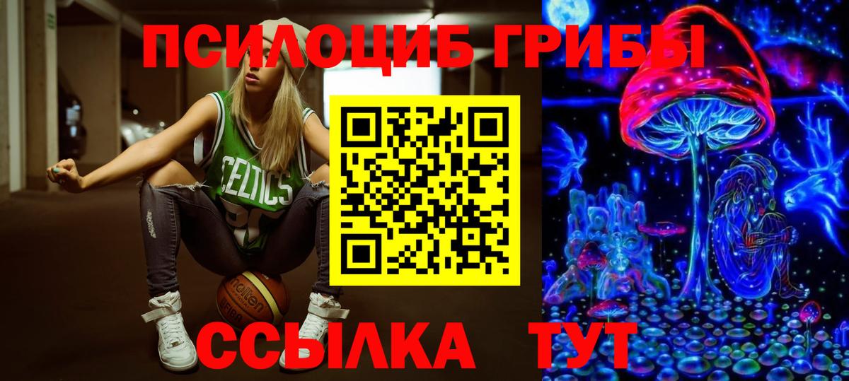 Галлюциногенные грибы Psilocybine cubensis  Вход с VPN  Луга 