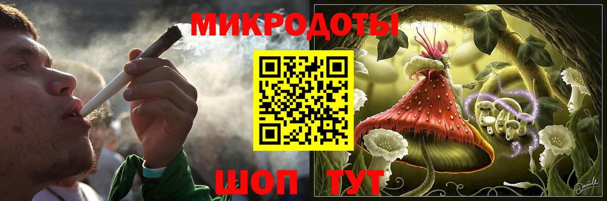 Псилоцибиновые грибы Psilocybine cubensis Луга